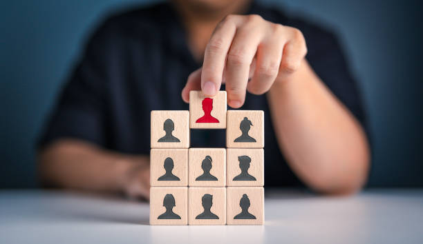 executive search services